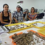 Investigadora de CIHDE participará en proyecto internacional que encabeza arqueólogo boliviano