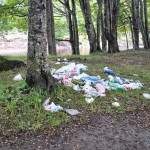 CEQUA pone en alerta la conservación del patrimonio natural de las costas de Punta Arenas