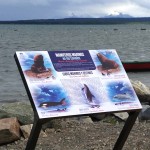 Nueva señalética elaborada por CEQUA difunde patrimonio natural y cultural de Puerto Natales