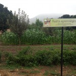 CERES realizará Mercado Agroecológico en Quillota