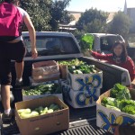 Centro Ceres envió hortalizas agroecológicas a albergue de Valparaíso