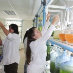 CICITEM y UA presentan avances en proyecto sobre Biotecnología y Biorrefinería