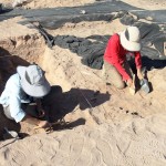 Descubren nuevas pistas sobre el poblamiento en el Desierto de Atacama