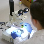 CONICYT adjudica más de 300 cupos para cursar siete diplomados regionales vinculados a Ciencia, Tecnología e Innovación