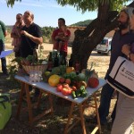 Investigadora del Centro Ceres realiza curso sobre Paisaje y desarrollo rural en la Universidad de Zaragoza