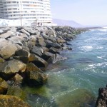Investigadores del CEAZA realizan primer estudio en Chile sobre modificación de ecosistemas litorales por urbanización