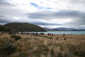 CEQUA recorre senderos de montaña en el Parque Nacional Torres del Paine