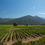 Diplomado de Especialización en Innovación y Territorio