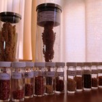 Proyecto CEAZA-INIA: En seminario transfieren conocimientos acerca del cultivo de quinua a comunidad local de Río Hurtado   