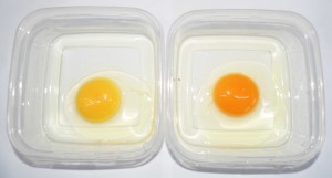 Cambio en la coloración de la yema del huevo por efecto de una mayor depositación de carotenoides presentes en la dieta prototipo (derecha), comparado con la dieta control (izquierda).
