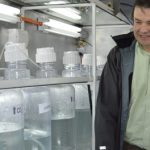 Investigador CIEP inaugura el primer laboratorio para estudiar la acidificación del océano en la Patagonia