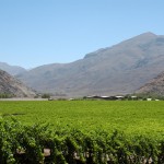 Proyecto busca mejorar la gestión de pequeños y medianos agricultores de la región de Atacama a través del uso de Tecnologías de la Información