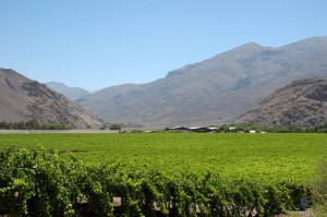 Proyecto busca mejorar la gestión de pequeños y medianos agricultores de la región de Atacama a través del uso de Tecnologías de la Información