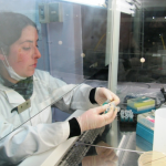 CONICYT cierra exitosamente el Concurso Regional Programa de Valorización de Investigación en la Universidad para las regiones del Biobío y Los Ríos
