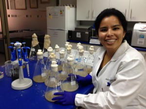 Investigadora de la UA propone controlar la contaminación minera con el uso de una bacteria gracias a proyecto PAI-Regional