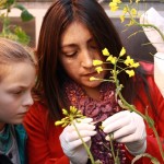 CGNA participa de proyecto asociativo de divulgación y valoración científica