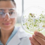 CONICYT adjudica lista de espera de IV Concurso Regional de Proyectos de Vinculación Ciencia Empresa