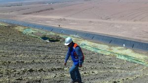 Bioreactivo originado en Antofagasta ingresa a etapa de pilotaje