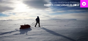 Ciencia antártica abre dos fondos concursables