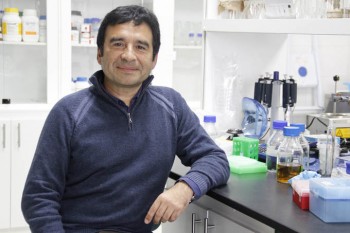 Revelan existencia de zonas de mar carentes de oxígeno en oceános de Chile y Perú