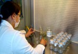 Científicos chilenos del sector agroalimentario y forestal tendrán acceso a financiamiento de la OCDE