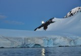 Francisco Brieva: “En la Antártica existe una tremenda oportunidad para hacer ciencia de primer nivel”