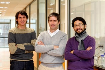 Investigadores UAndes diseñan recubrimiento alimenticio a base de gelatina bovina y celulosa bacteriana