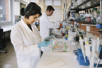 CONICYT destaca participación femenina y de regiones en Concurso de Inserción en la Academia