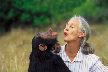 Jane Goodall: Ciencia y tecnología al servicio de la Conservación