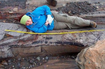 Judith Pardo: “Los ictiosaurios de Torres del Paine pueden revelar el secreto de su evolución”