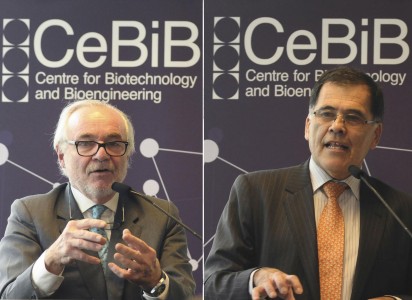 CEBIB 11_A