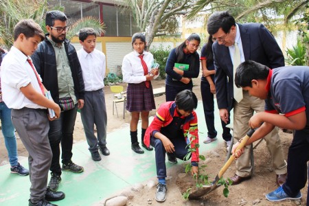 Finalización Taller de Plantas Nativas