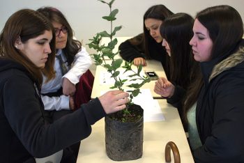 ¡Inscríbete en IV Encuentro de Mujer y Ciencia!