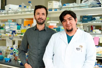 Investigación Fondecyt sobre formación cerebral es publicada en la revista Nature Cell Biology